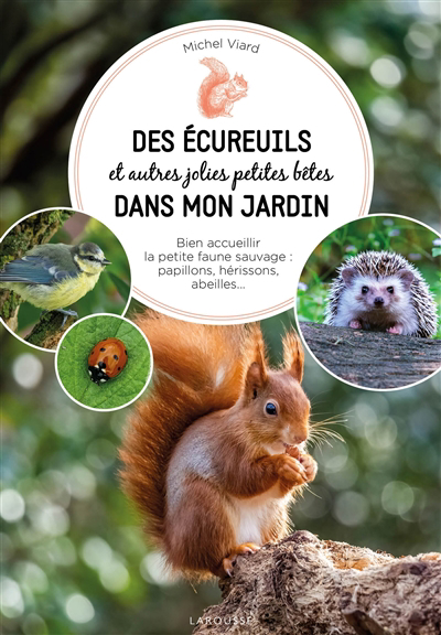 Image de couverture de Des écureuils et autres jolies petites bêtes dans mon jardin : bien accueillir la petite faune sauvage : papillons, hérissons, abeilles...