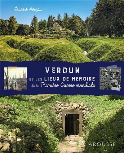 Image de couverture de Verdun et les lieux de mémoire de la Première guerre mondiale