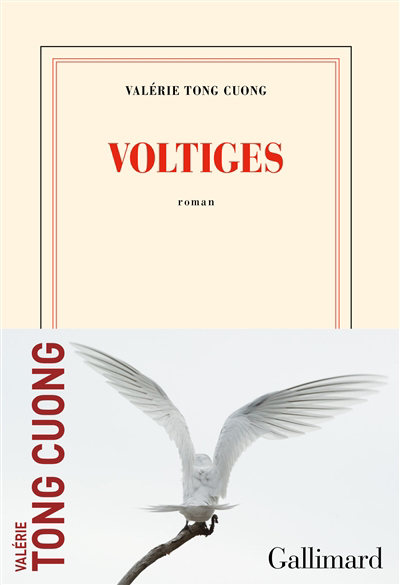 Image de couverture de Voltiges : roman