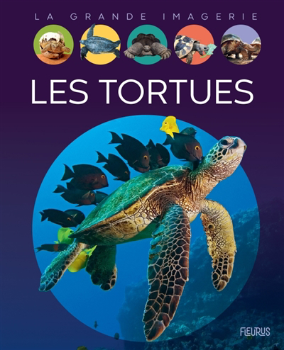 Image de couverture de Les tortues