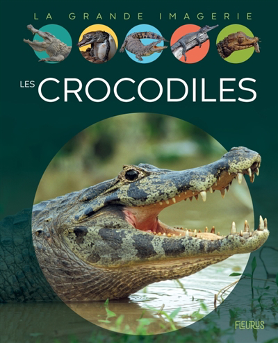 Image de couverture de Les crocodiles