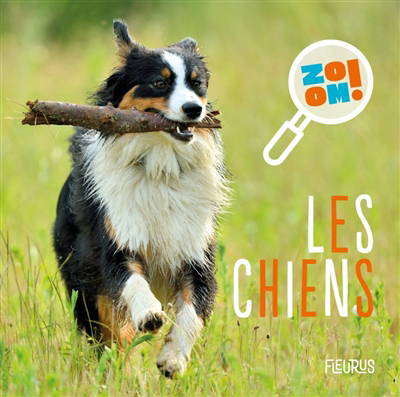 Image de couverture de Les chiens