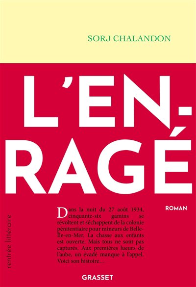 Image de couverture de L'enragé : roman