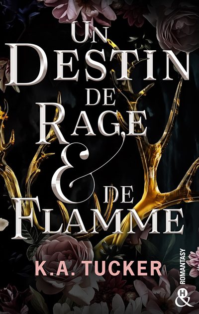 Image de couverture de Un destin de rage & de flamme : roman