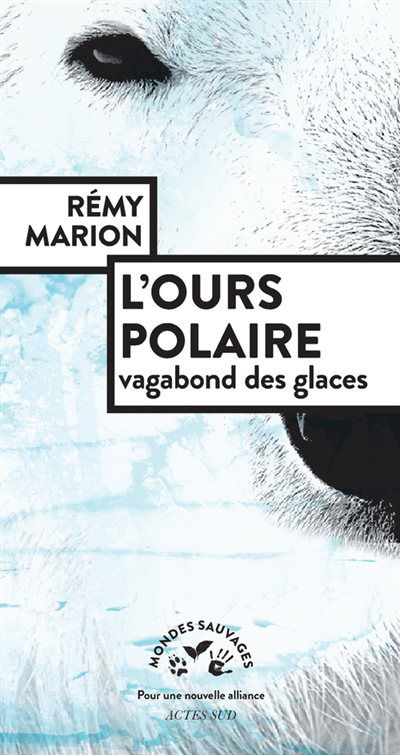 Image de couverture de L'ours polaire : vagabond des glaces