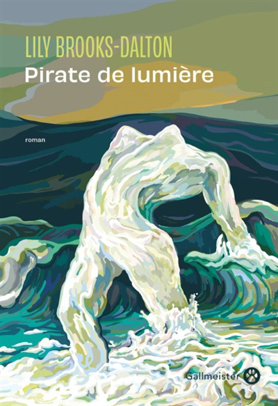 Image de couverture de Pirate de lumière : roman