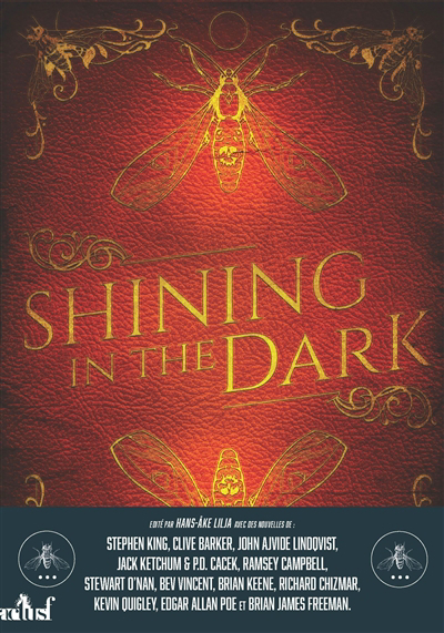 Image de couverture de Shining in the dark