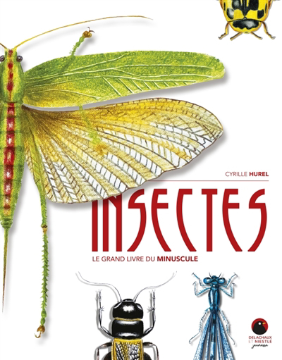 Image de couverture de Insectes : le grand livre du minuscule