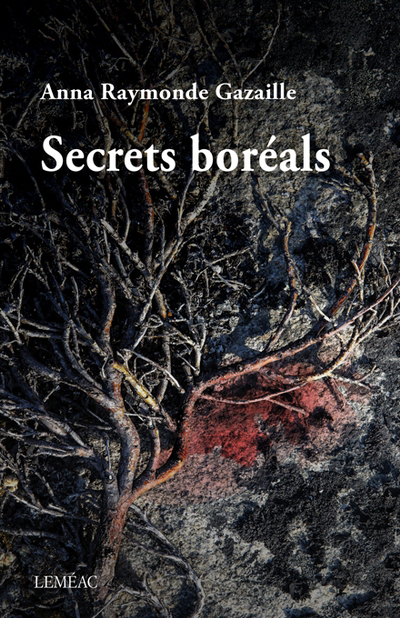 Image de couverture de Secrets boréals : roman