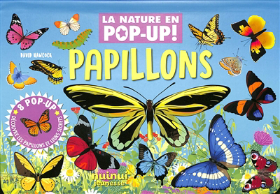 Image de couverture de Papillons